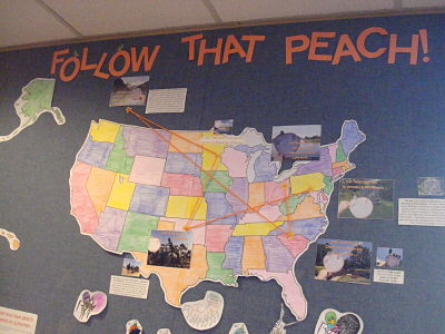 Follow that Peach bulletin board
