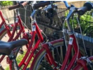 Bikes in bike stand