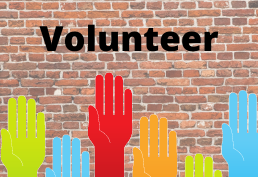 Volunteer at the Library