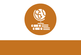 Globe icon