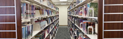 Bookshelves at the Barberton Library