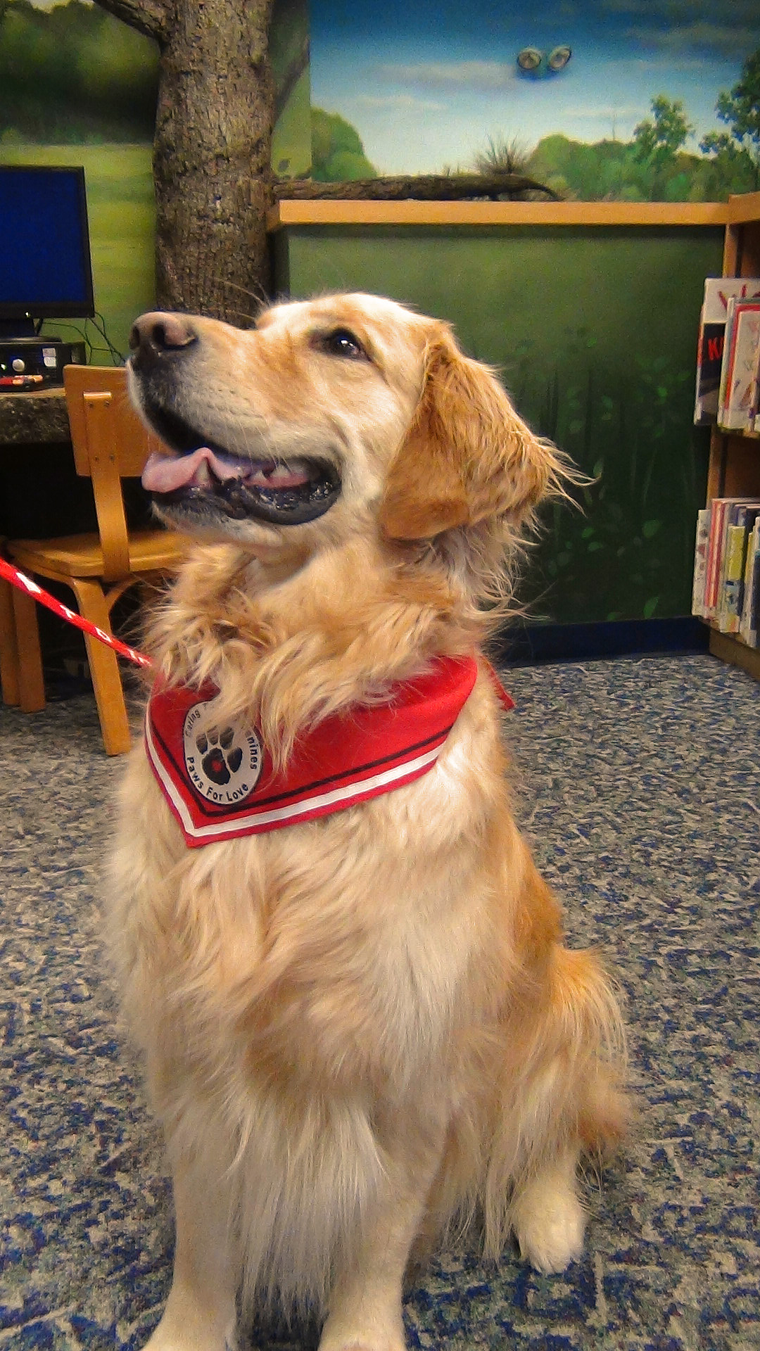 PAWS to Read puppy